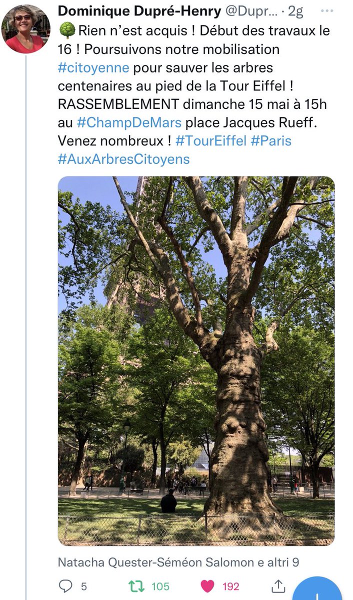 Anche #Paris combatte per i suoi #alberi