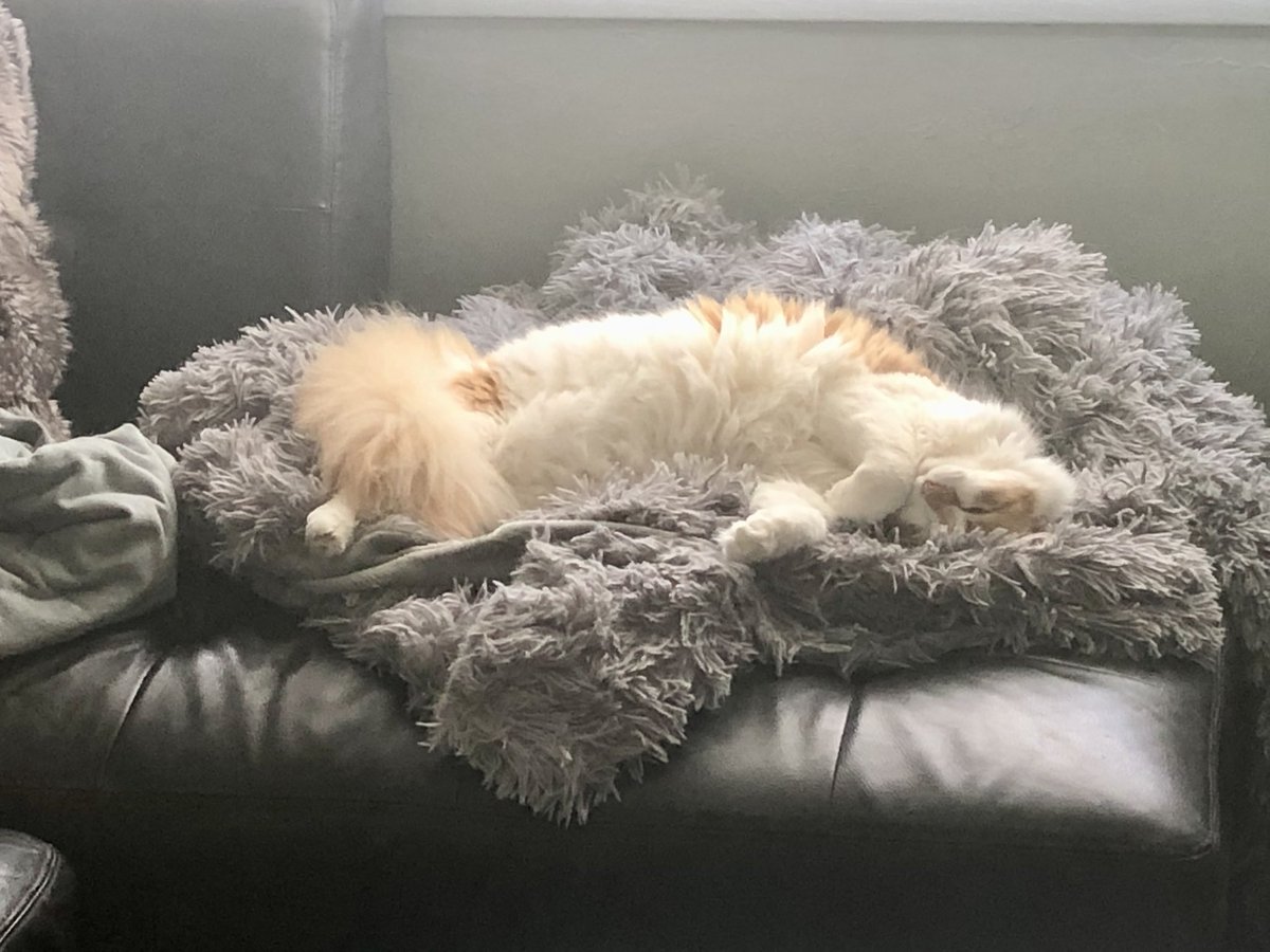 Monday vibes.