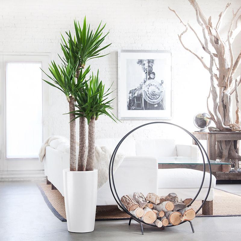 MariaGa95497959's tweet image. Another great #interioridea is to create a meditation corner with your favorite lounge chair or loveseat and a lamp/side table of your preference. Look how peaceful/functional looks. The one from the example is a #LC3chair from #barcelonadesigns manhattanhomedesign.com/le-corbusier-c…