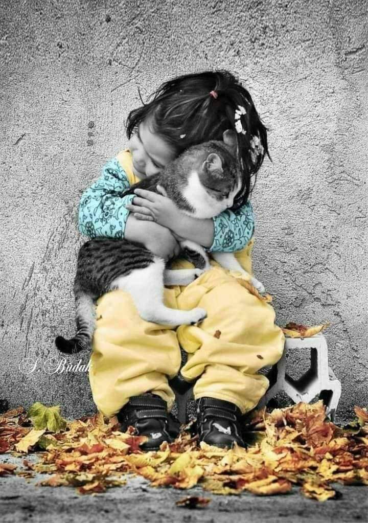 AhmdYwal's tweet photo. تور ماښام دی، ډيوې بلې ګرځومه
د بایللي یار دریم تلـــــین لمانځمه

لـــه غمونو تر مرۍ یم راسېدلی
له غم ډکې زنده ګۍ ستړی د یمه https://t.co/ydNdCkW0EX