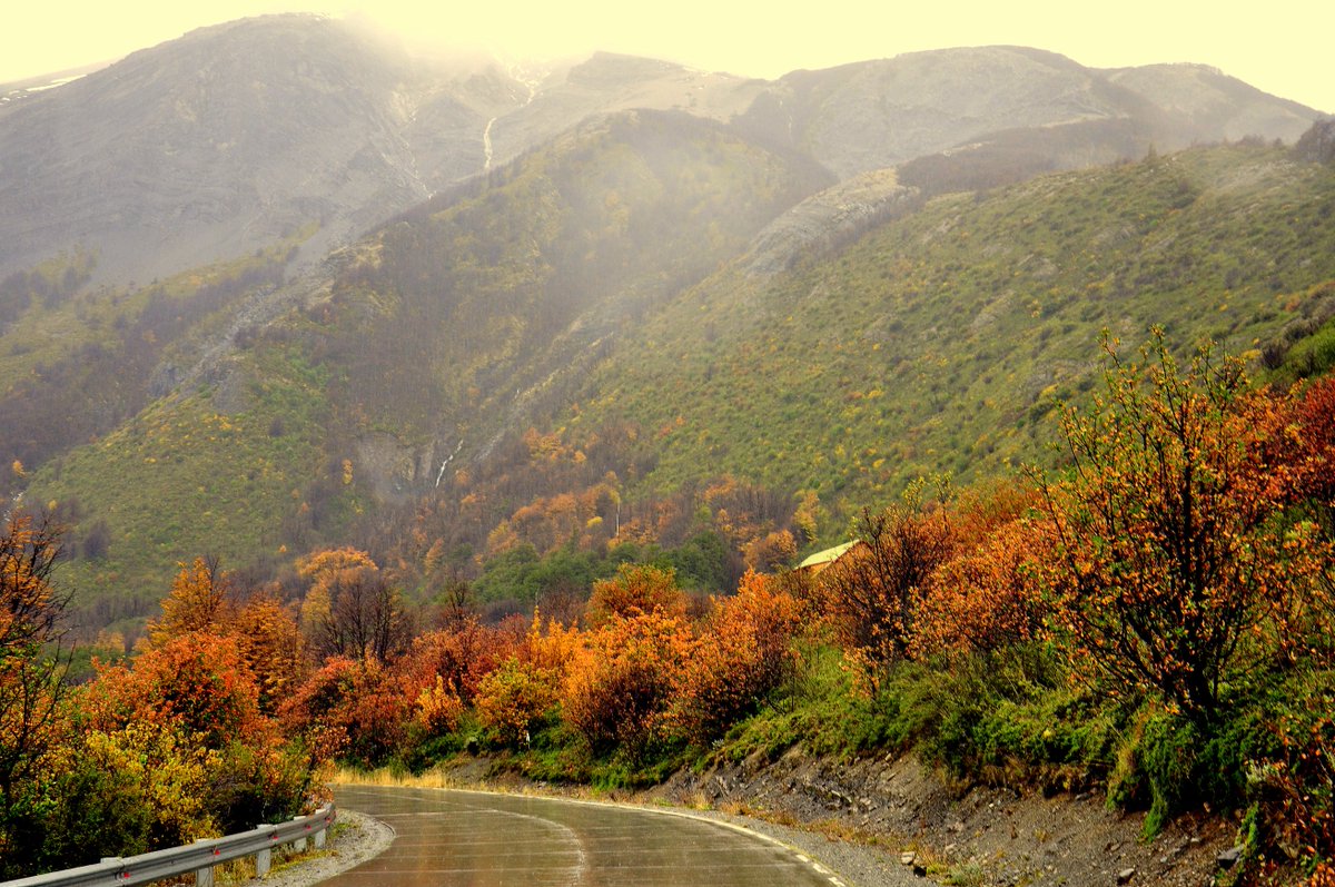Un sinfín de colores en el #parquenacionallosglaciares