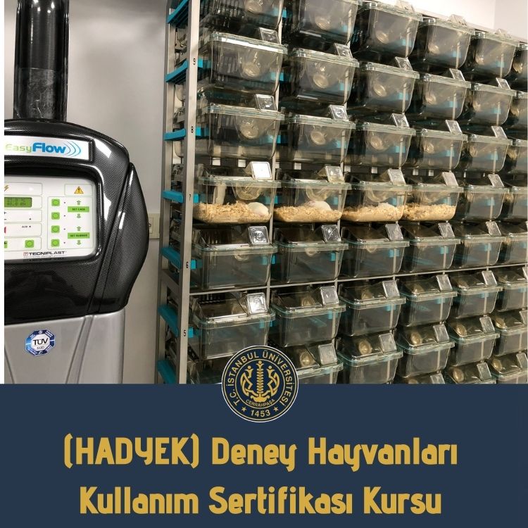 iucsem's tweet photo. (HADYEK)-Deney Hayvanları Kullanım Sertifikası Kursu

📌 (HADYEK)-Deney Hayvanları Kullanım Sertifikası Kursu (40 saat teorik / 35 saat uygulama) 

🗓 2 Haziran - 10 Haziran 2022

📍Nanoteknoloji ve Biyoteknoloji Enstitüsü / DETALAB
 https://t.co/Ph9jAybGTn https://t.co/2Tb61F4l3k