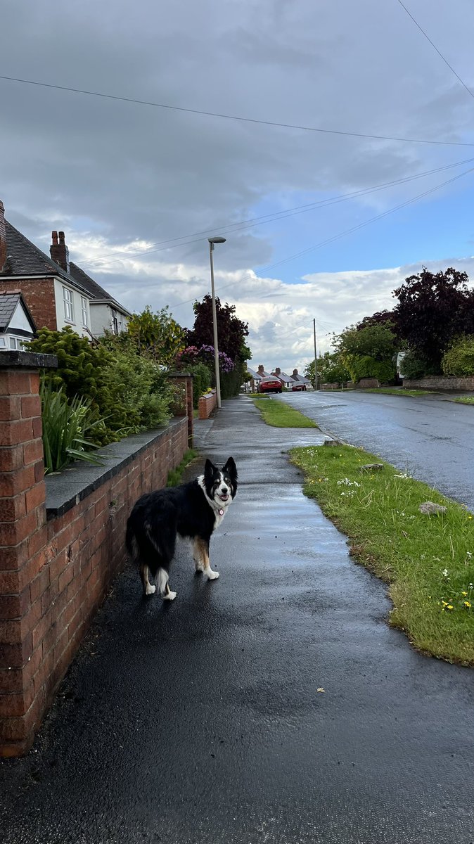 Wet walkies
