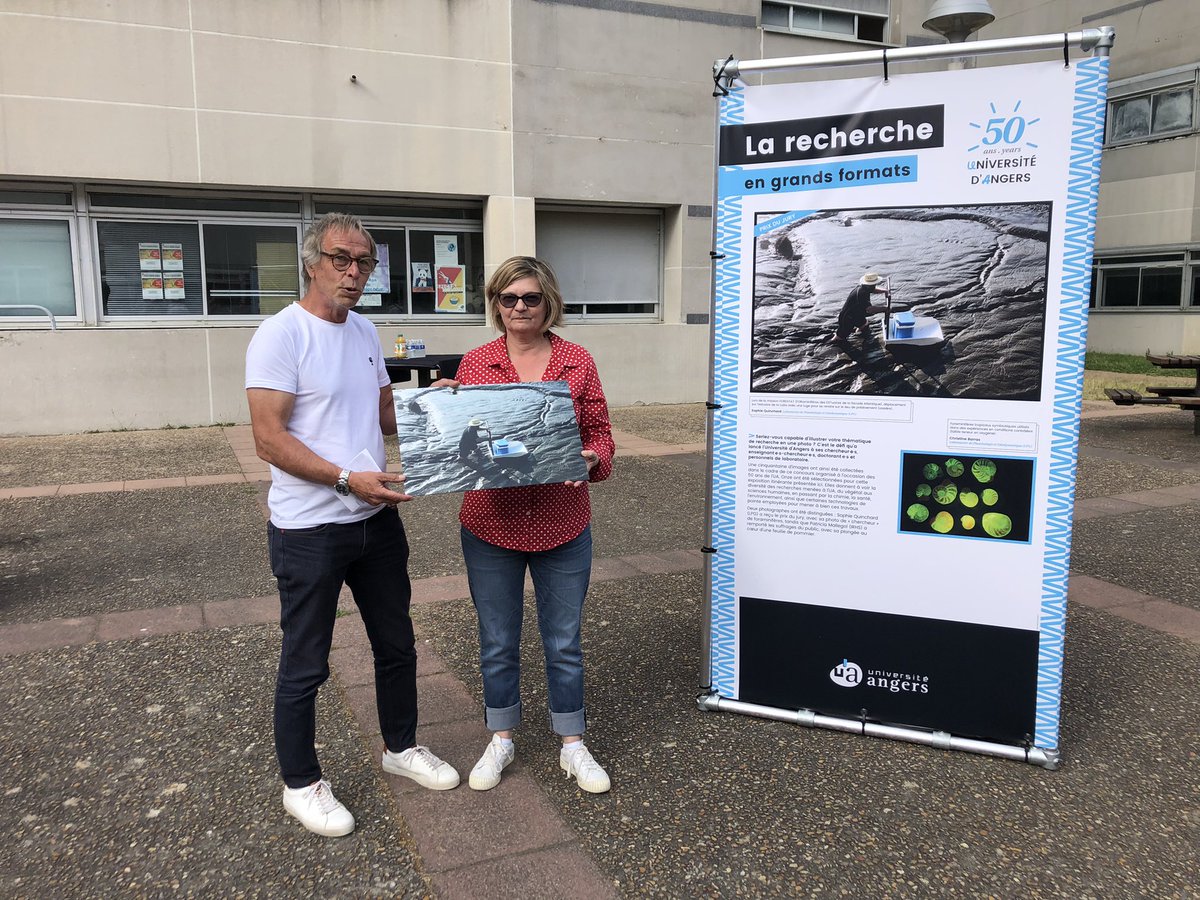 Université d'Angers tweet media