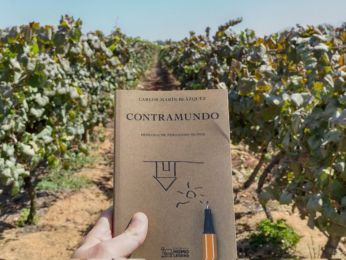 rubendgu's tweet photo. «En el #apresuramiento con que vivimos no hay #ansia por alcanzar un todo, sino #desesperación por huir de la nada.»
@marin_blazquez 
#Contramundo #NadaSólido 322
Da qué pensar, y #miedo de caer en esa dinámica. Gracias a #Dios hay personas y sitios, resquicios, que nos salvan 👌🏻 https://t.co/saM98ELW9j