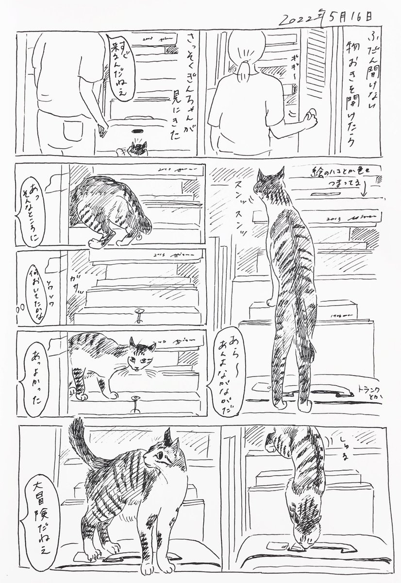 2022/5/16のぎんちゃん #今日のぎんちゃん 