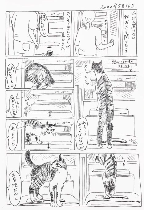2022/5/16のぎんちゃん #今日のぎんちゃん 