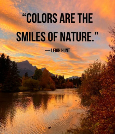 BookedNBoarded's tweet photo. Colors are the smiles of nature. https://t.co/2Q7dOHleqK
