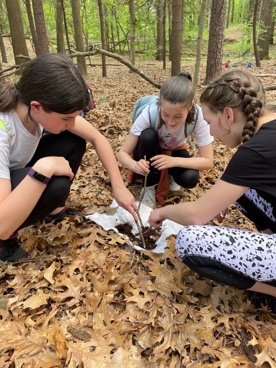 ibsooze's tweet photo. Looking through soil in the forest. #redcluster #bmsed https://t.co/TYYe43NaJ9