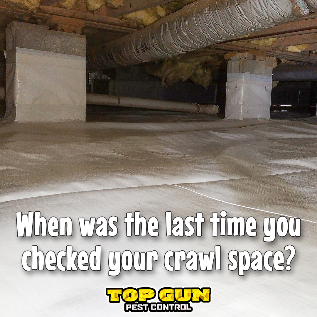 ❎ Unwanted moisture
❎ Leaky pipes
❎ Wet insulation

These are all things that could be ruining your crawl space and therefore the foundation of your home. 🏚 Don't let the unknown be your downfall - let us help instead!