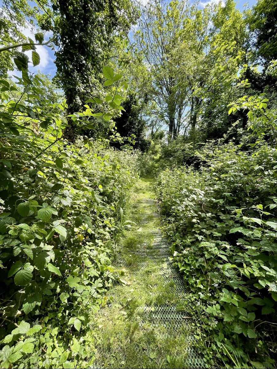 Eden-Rose Coppice Trust tweet media