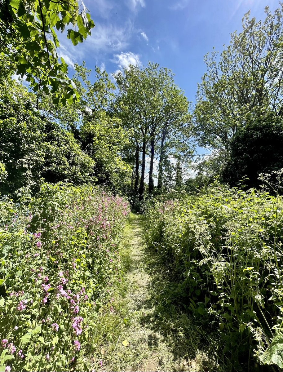 Eden-Rose Coppice Trust tweet media