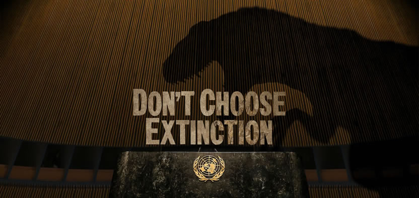 LatinSpots's tweet photo. @PNUDArgentina , la Asociación Global de Publicidad Cinematográfica y sus miembros en todo el mundo (entre ellos @FlixMediaAr  ), lanzaron "Don’t Choose Extinction" para inspirar a los espectadores a tomar acciones concretas sobre el cambio climático. 

https://t.co/yyZuW5jICl https://t.co/8CeAFwn5Xn