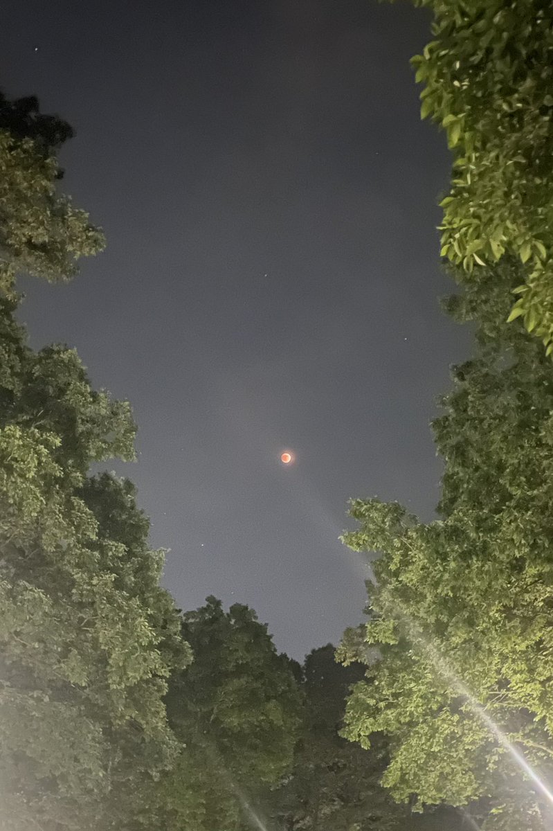ryangwest's tweet photo. the lunar eclipse coinciding during a blood moon in scorpio? come on emotional healing! https://t.co/ODNYYGyqUb