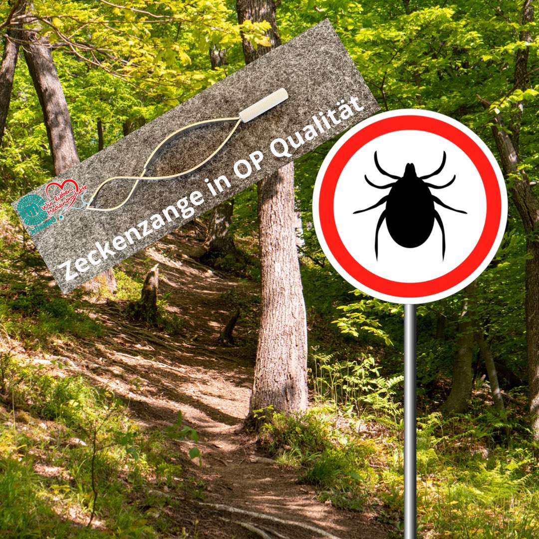 ecorehashop's tweet photo. Leider lauert in der Natur und Wald 🌳 die Gefahr für Mensch und Tier ‼️ Deshalb unsere Zeckenzange in erstklassiger OP Qualität aus Edelstahl  #Zecken #zeckenschutz #zeckenzange #zeckenpinzette #wald #natur #joggen #hund #Orthomed

https://t.co/8yysTn9OS0 https://t.co/gZurAqo9Yk
