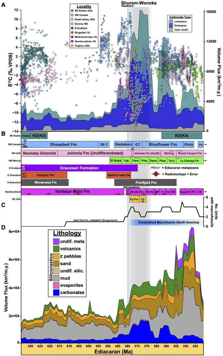 geobadgers's tweet photo. Dan built a dataset of all Ediacaran rocks in North America and found that continental flooding/draining likely influenced features observed in these rocks, such as the earliest known appearance of animal fossils and an extreme carbon isotope excursion known as the Shuram-Wonoka. https://t.co/ts8Z9HCRnG