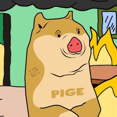 Mark737800's tweet photo. Just bought Pige Inu. Will it be the new generation of Inu? 🤔 https://t.co/z6iN0ZiPLQ