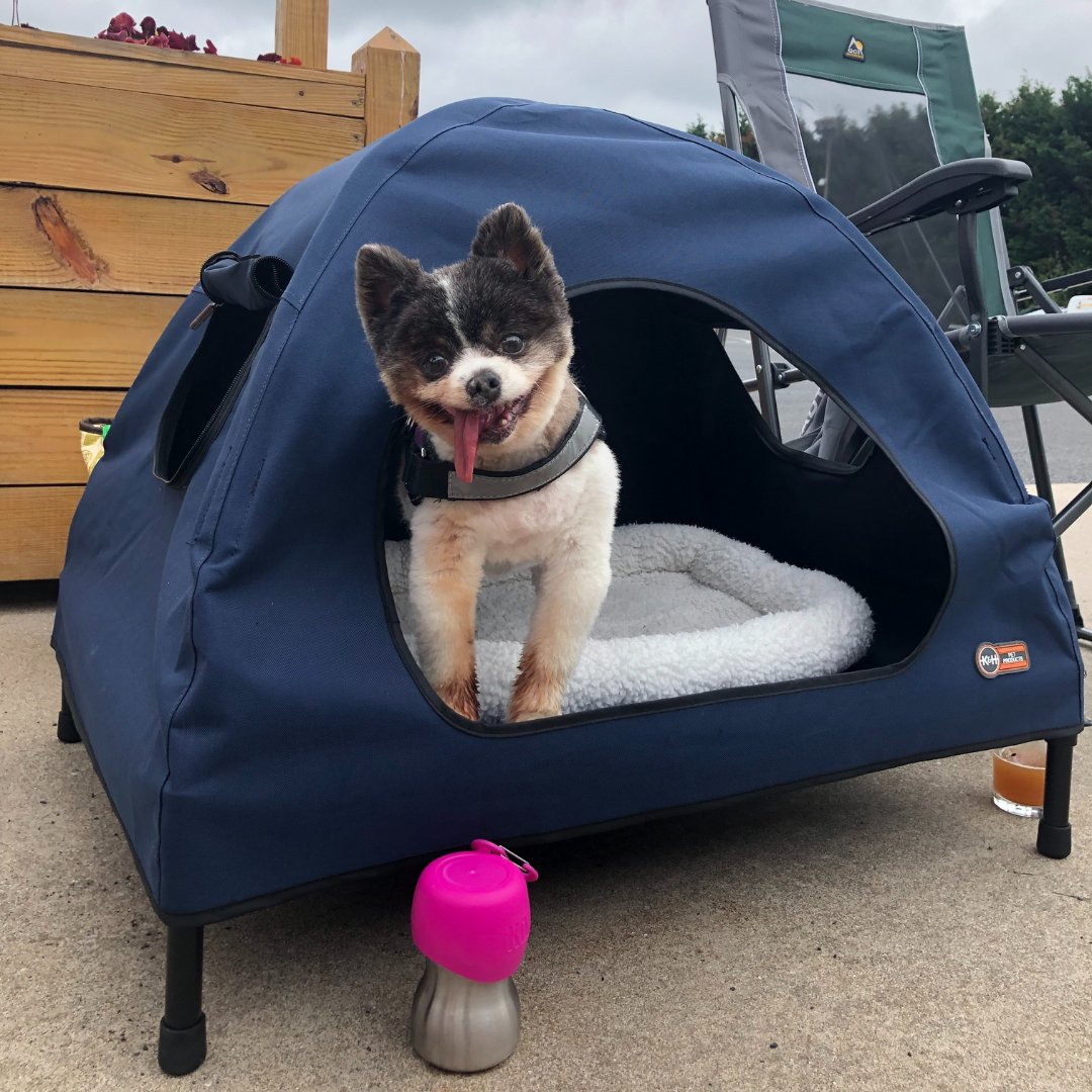 humane_penn's tweet photo. A special "thank you" to @wackerbrewingco
for hosting an amazing mini Pints for Pups event over
the weekend &amp; to all who came out in support of animals in need! 

Next stop? mini Pints for Pups: @pourmansbrewingco!

We'll see you there with your Pawsport! 

#miniPintsForPups https://t.co/golfYewmPi