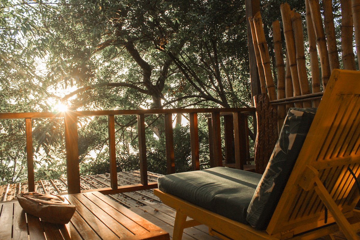 emberahotels's tweet photo. "This is your opportunity to disconnect and relax just a few meters from the beach. Spectacular landscape and unique tranquility

📍Visit Saboga Lodge, Panama.

👉Contact us to get special offers @emberacollection

https://t.co/1YPdFqngkK

#Panama #Lodge #Holidays #Tourisim https://t.co/G572HkjANv