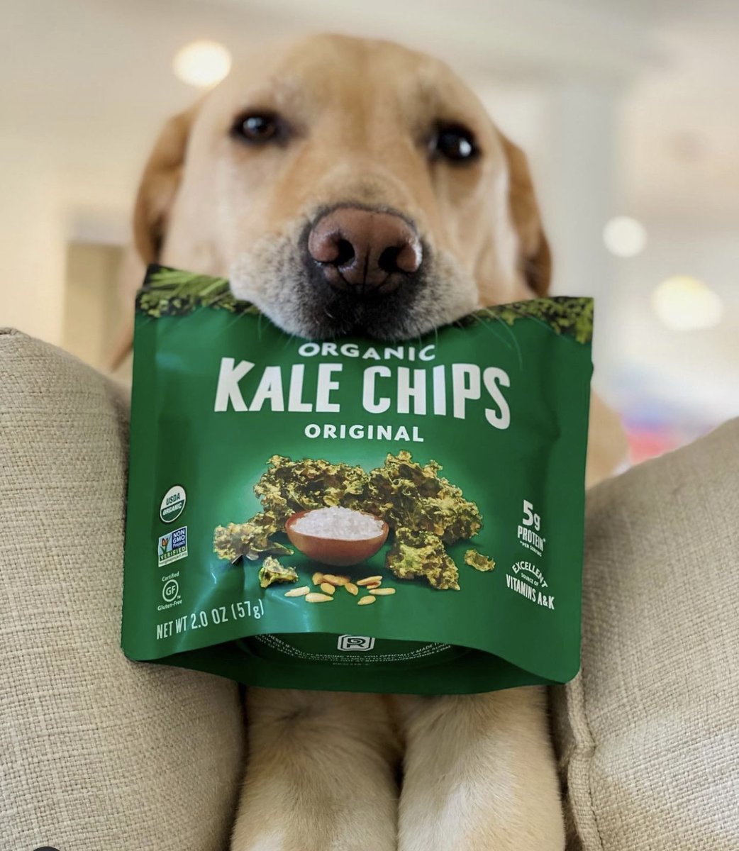 Popping in to remind you to eat your veggies🙂 🥗 🥕