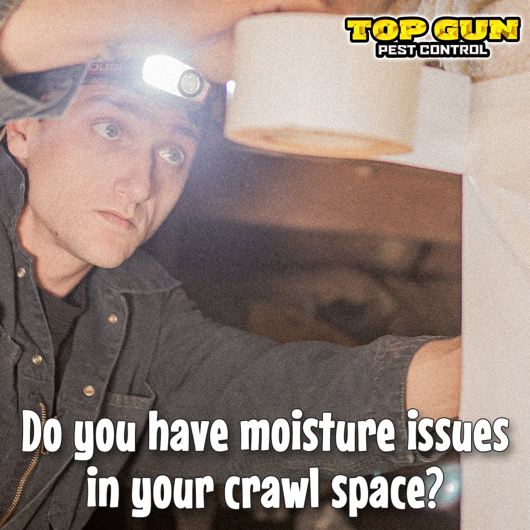 Top_Gun_Pest's tweet photo. Who wants to inspect their crawl space?! 🤢 🙅🏻‍♂️

That's why WE ARE HERE! ☎️ Contact us at (256) 234-7375 to find out how moisture issues could be affecting your whole home. https://t.co/zRXWKe0yjD