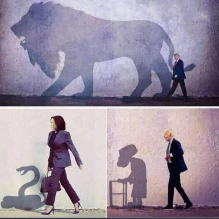 One picture is worth more than a thousand words.