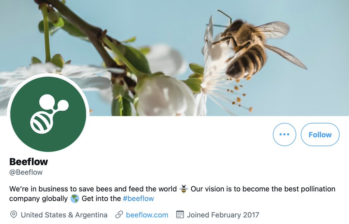 FutureJurvetson's tweet photo. 🐝🐝💥 From NPR this morning: the number of flying insects has declined 60% in just 17 years!  This is not some B-movie. "This is terrifying."

Methodology: citizen science, taking photos of license plates (a standard size) across UK: https://t.co/UbdmX5MapX

👇trying to bee good https://t.co/WZAdBnBjQ3
