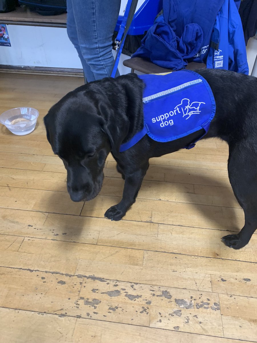StCharlesHadfie's tweet photo. So proud of our past pupil Alisha, and her achievements. We are proud to be supporting the support dogs charity too. Look out for next weeks sway newsletter for more details.@SRSChaplaincy1 @SRSCMAT #BelongBelieveBlossom https://t.co/FpA15aWEWe