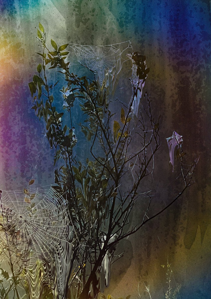 julesvisual's tweet photo. caught in a web of grief https://t.co/7K8A6tgCgJ