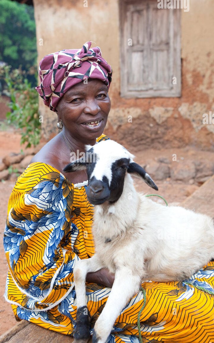 MoiceComm's tweet photo. People have been advised to avoid eating dead and sick animals, following an outbreak of Anthrax Disease in Northwestern Sierra Leone
@WFPS_Leone #SierraLeone #salonetwitte @PresidentBio https://t.co/Ey6U8hOamt