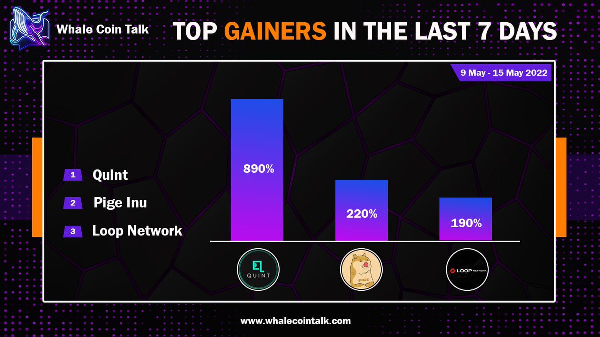 Whale Coin Talk tweet media