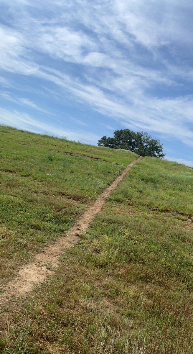 Tyson Tremble tweet media