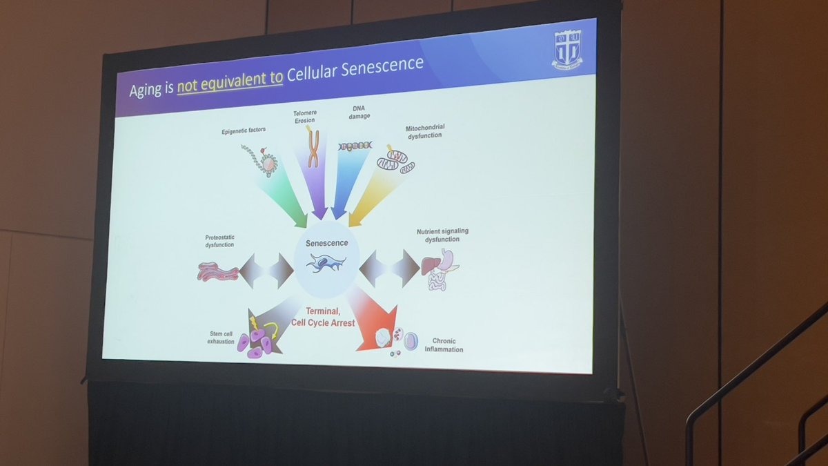 Is senescence a Myth? #ATS2022 brings back the famous #Mythbuster sessions @ATS_RCMB 🥳 @PattyPCCSM kicking off. Looking forward to some provokative discussions @Mkg_Lehmann @maorsauler @colblackberrys @corrine_kliment @ElizabethRedent