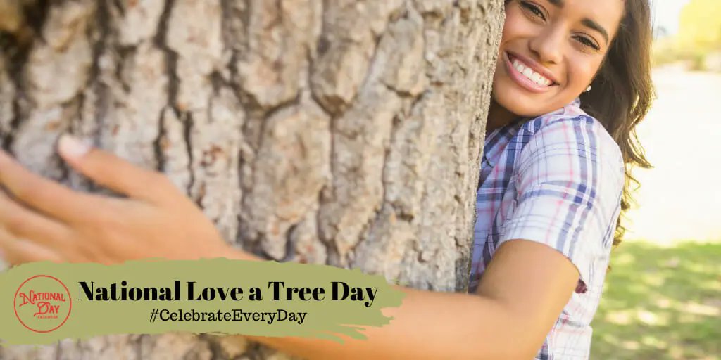 Thomas (@thomascarpet) on Twitter photo 