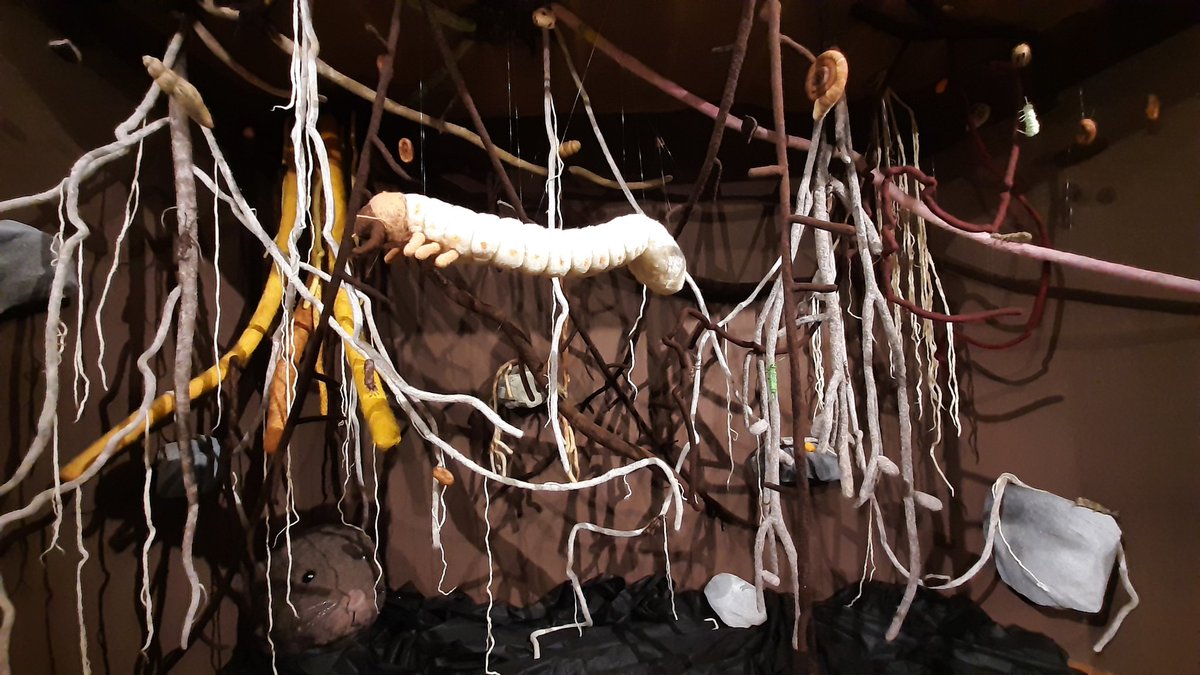 ExFuMo1's tweet photo. #ExFuMo visited the exhibition"Mysterious world of plant belowground" by @Jitka_Klimesova et al. at @Akademie_ved_CR
It was fascinating!
#GoBelowground #rhizome #bulb #clonality https://t.co/jRGgs4wVWH