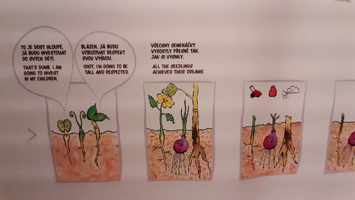ExFuMo1's tweet photo. #ExFuMo visited the exhibition"Mysterious world of plant belowground" by @Jitka_Klimesova et al. at @Akademie_ved_CR
It was fascinating!
#GoBelowground #rhizome #bulb #clonality https://t.co/jRGgs4wVWH