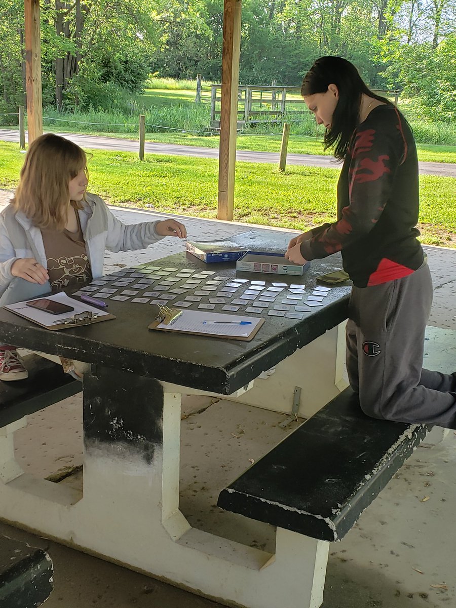 MathEagles's tweet photo. 3rd period enjoying the outside Math lab today on data analysis and statistics using our cell phones! Throwing in probability with board games! @LHSGoldenEagles @lakes_renee @SuptStover https://t.co/BcQLD1WvLr