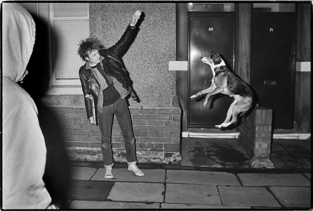 Hartlepool Borough Council tweet media