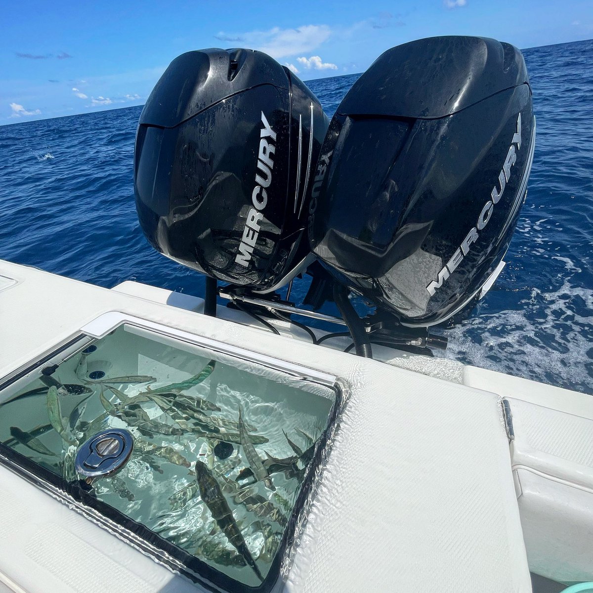 tworiversboats's tweet photo. Fun weekend fishing in the @fishbluewater Saltwater Shootout! #MercuryMonday 🎣
•
•
•
#tworiversboatworks #mercurymarine #mercuryoutboards #yamaha #yamahaoutboards #suzukioutboards #tohatsu #outboards #outboardrepair #outboardexpert #outboardengine #florida #treasurecoast https://t.co/2UNeTM5QRK