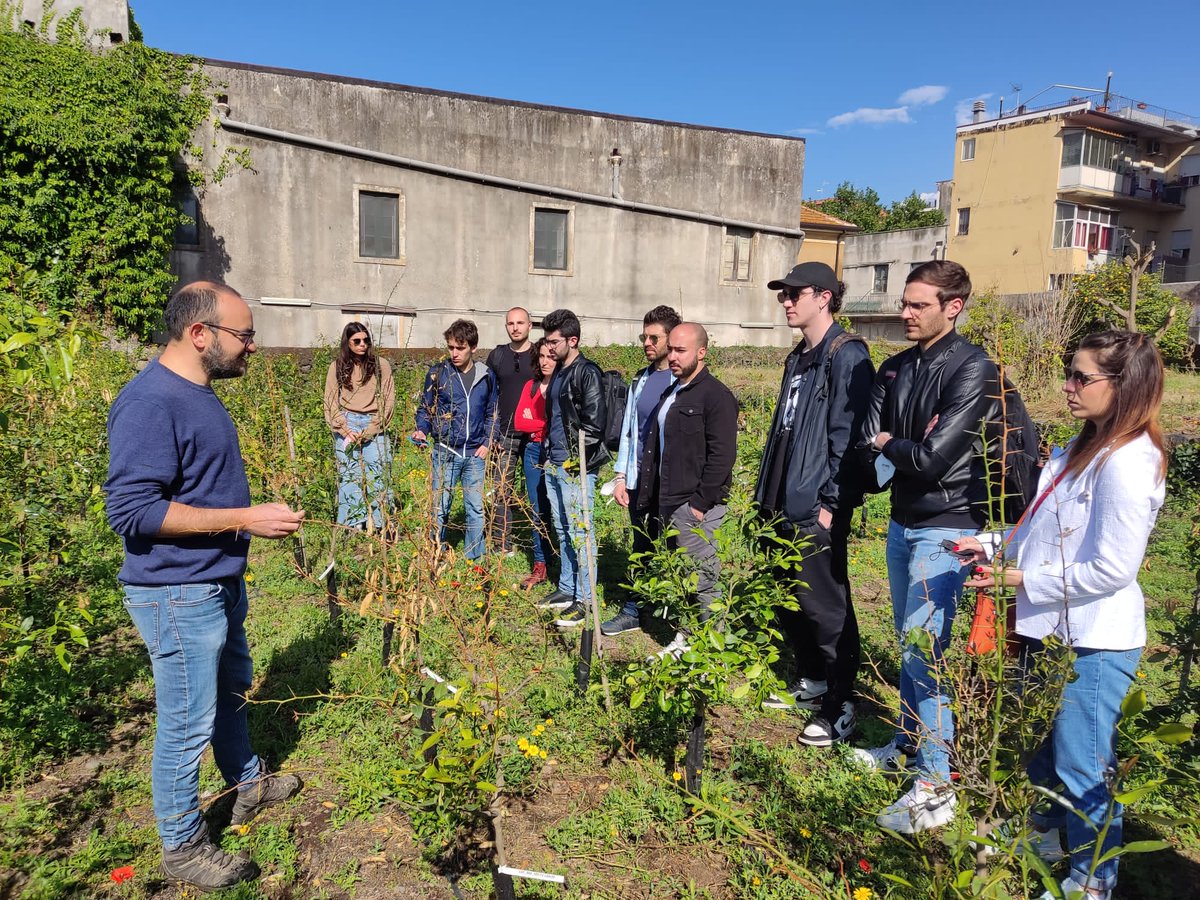 Freeclimb1's tweet photo. #students of #plantbiotechnology of @unict_it visited the @CREA_Ricerca, @Freeclimb1 partner, experimental farm where Dr #MarcoCaruso and Prof #GaetanoDistefano showed #phenotyping of #citrus hybrids to identify resistance sources to #malsecco disease and get resistant #lemons. https://t.co/70Z6A3DHdM