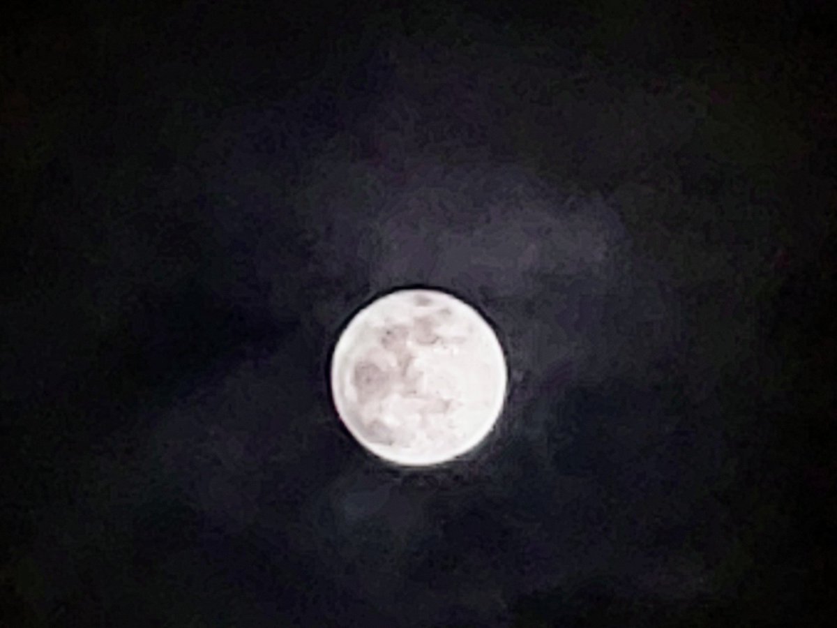 Hazy Moon tweet media