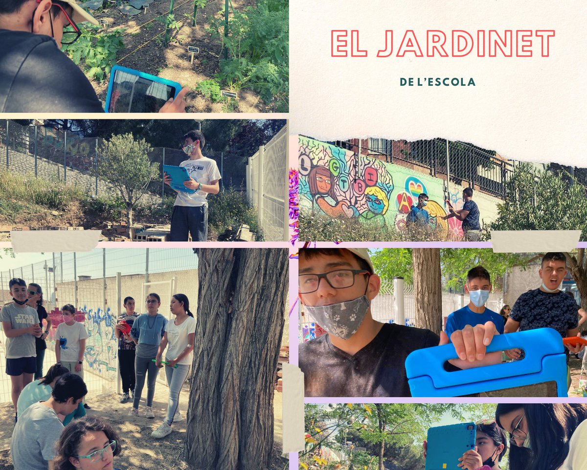fepmontserratee's tweet photo. Avui 2n hem aprofitat el #taller de #foto per anar al #Jardinet del cole i retratar-lo. Observant des de diferents #perspectives! #eemontserrat @EscolesFEP #SomFEP #natura #gaudiraprenent https://t.co/dZCPqXRfcx