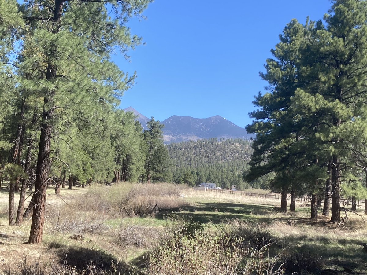 museumofnaz's tweet photo. A great view to start the week. Happy Monday. #flagstaff #museum #mywalktowork https://t.co/fNYM9fYLb7