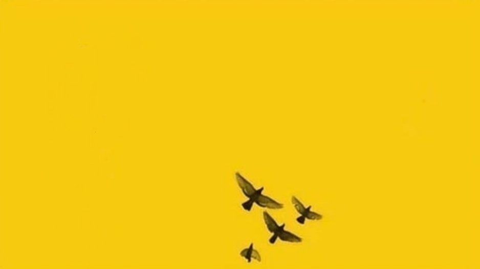Kelamkalesi's tweet photo. • ömrü g��kyüzünde geçen bile, öldüğünde toprağa girer. https://t.co/mJf973EHMK