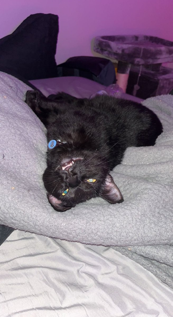 Fiction-L tweet media