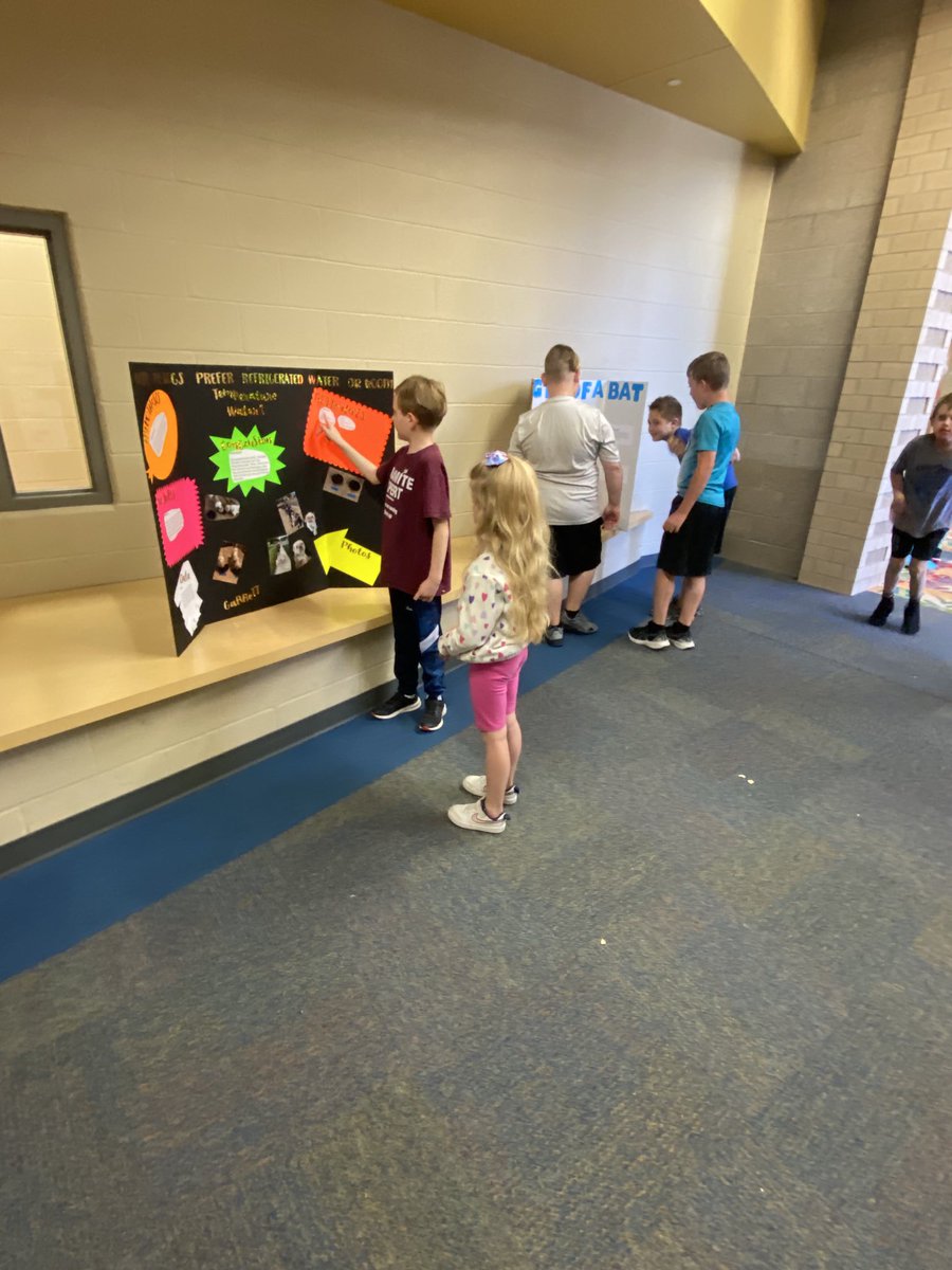 lsurface32's tweet photo. Lots of science fair fun! #pcelearn #Bexceptional https://t.co/AzmMjSkQVJ