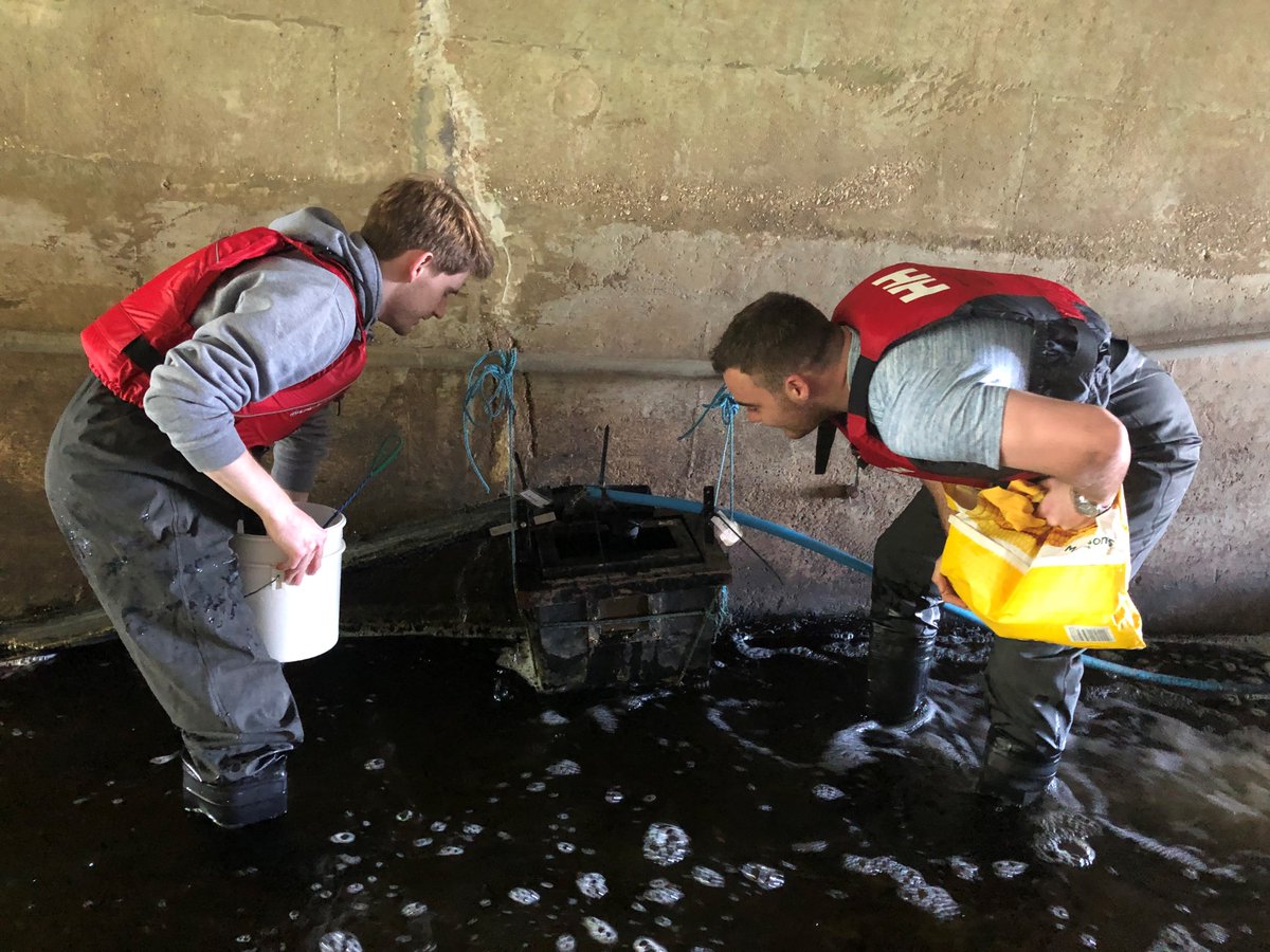 ZSLMarine tweet media