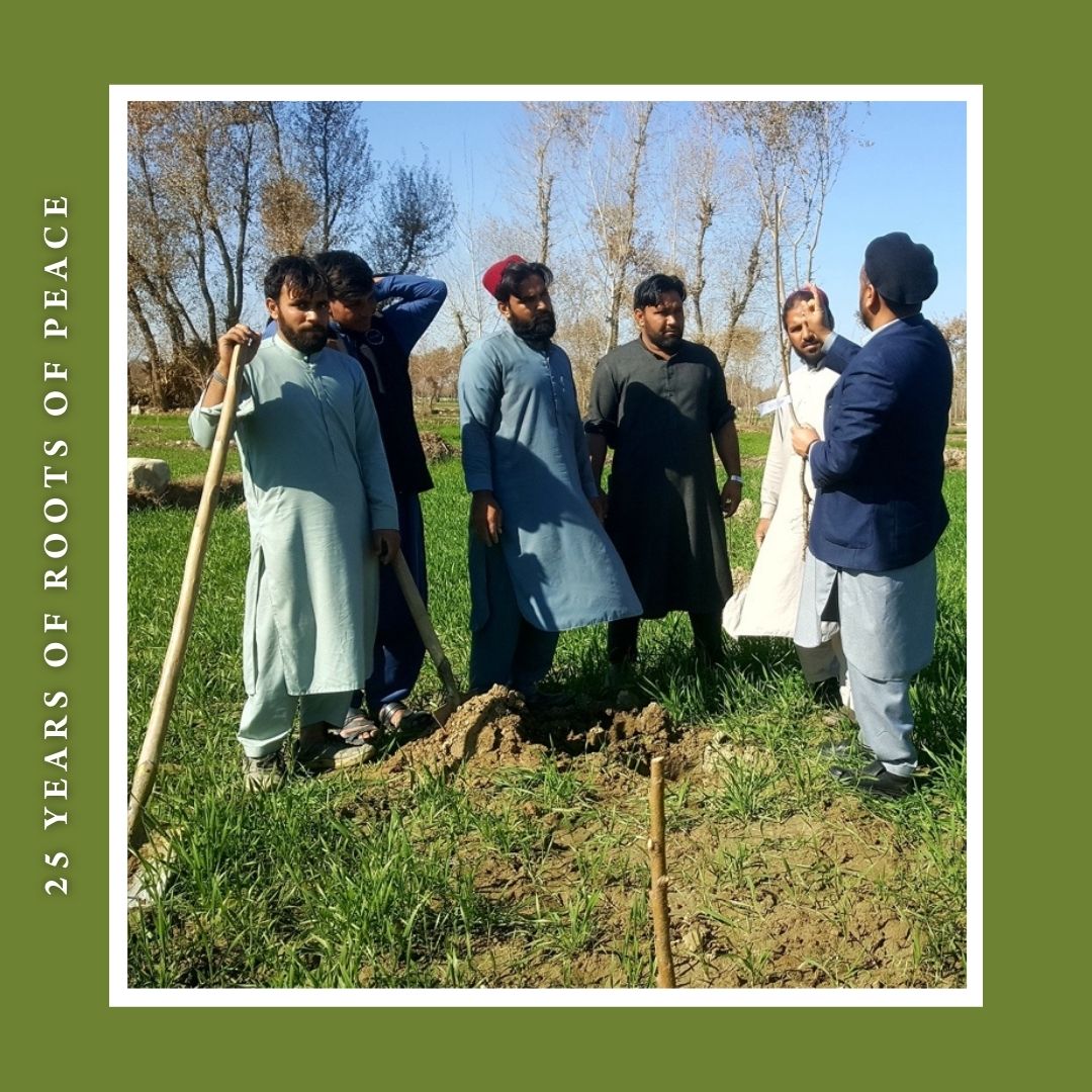 RootsofPeace's tweet photo. Knowledge is key to creating food security in Afghanistan. 

With @USAID, we are working in eight provinces to provide advanced technical training to farmers through Farmer Field Schools under the Agriculture Marketing Program.
#rootsofpeace  #breakingground #footstepsforpeace https://t.co/jby8TJhwq1