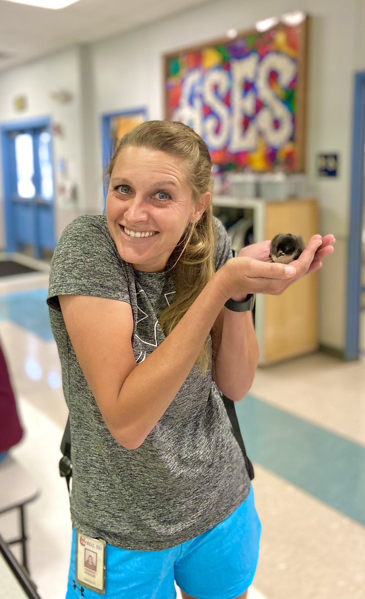 CoachPriour's tweet photo. Thank you @nadunn14 for an awesome career day 🐥@ASES_Mavericks https://t.co/wpYA3KBJLl