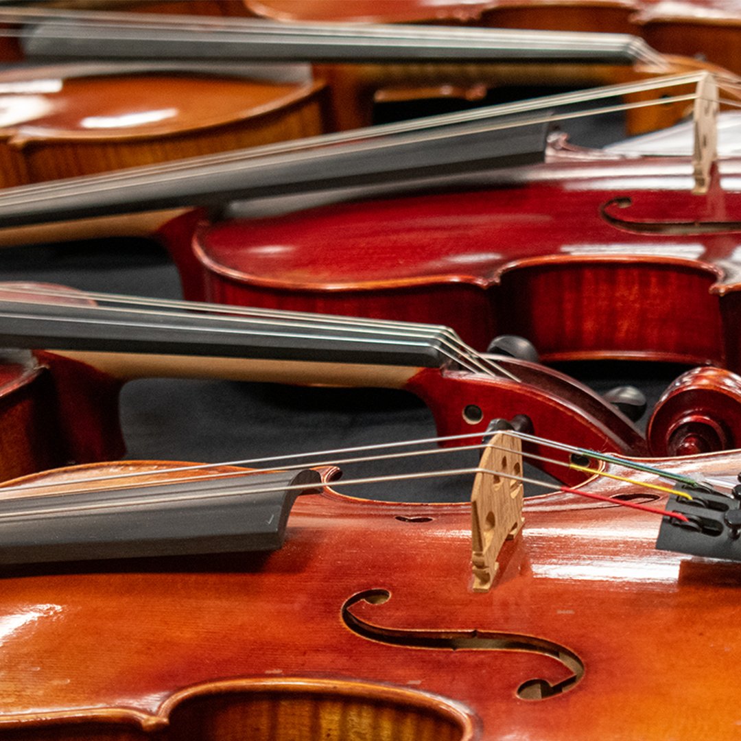 Did you know: Bridge replacement is a common violin/viola repair, but bridges aren't interchangeable. To replace it, the luthier will carve a "blank" bridge to fit the specific measurements of each instrument. 🎻

#themusicshoppe #stringrepair #viola #centralillinois